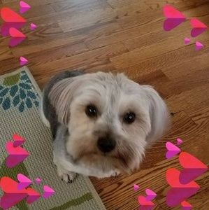 Meet your Posher, Jane